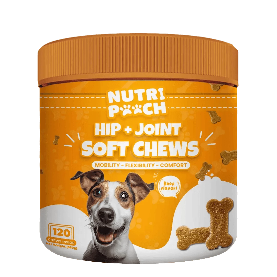 Top UK Dog Joint Supplement for Dog Arthritis and Joint Pain