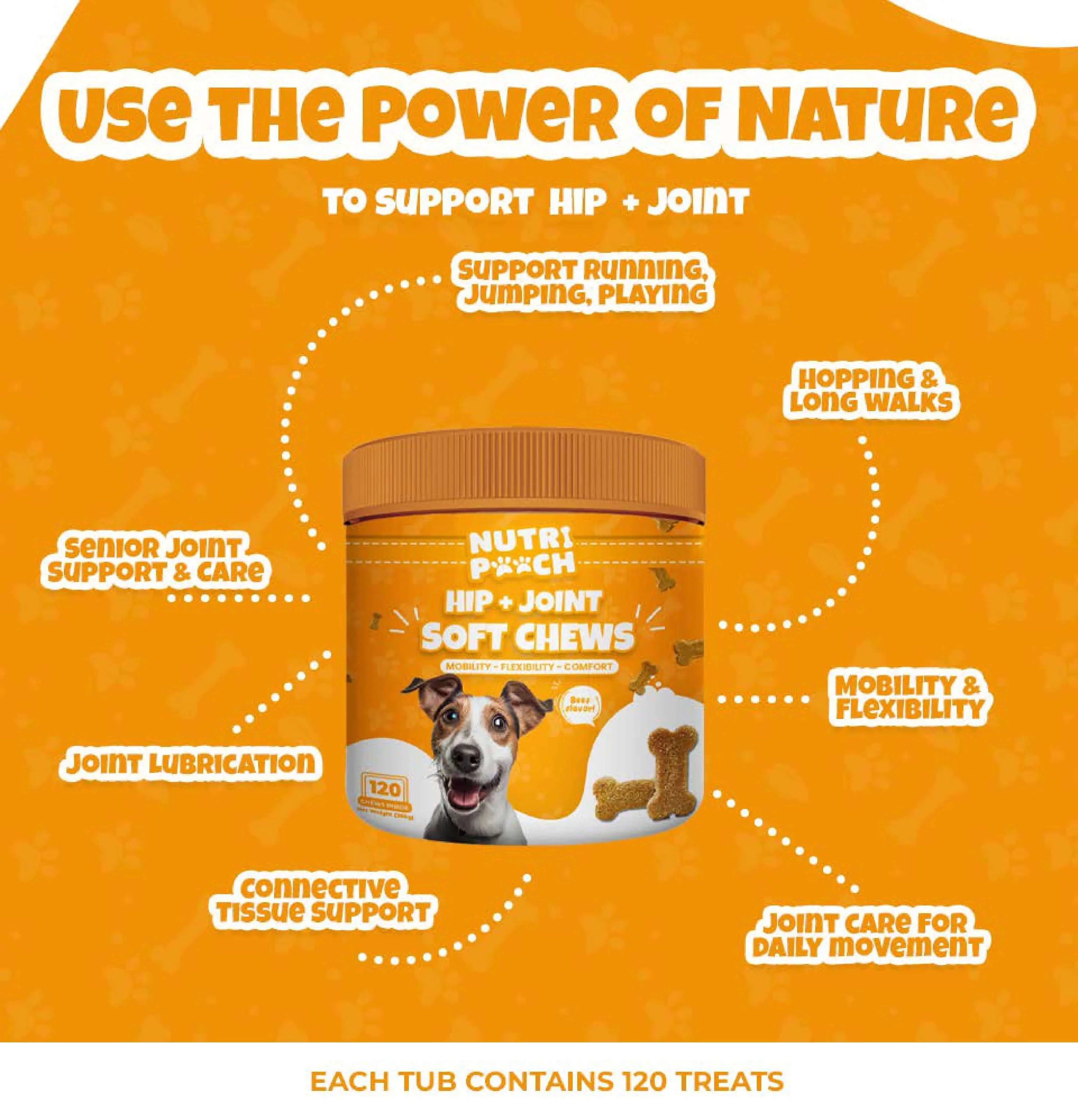 Hip + Joint Soft Chews