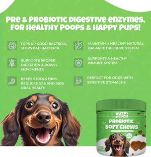 Probiotic Soft Chews -