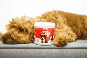 Skin + Coat Soft Chews -