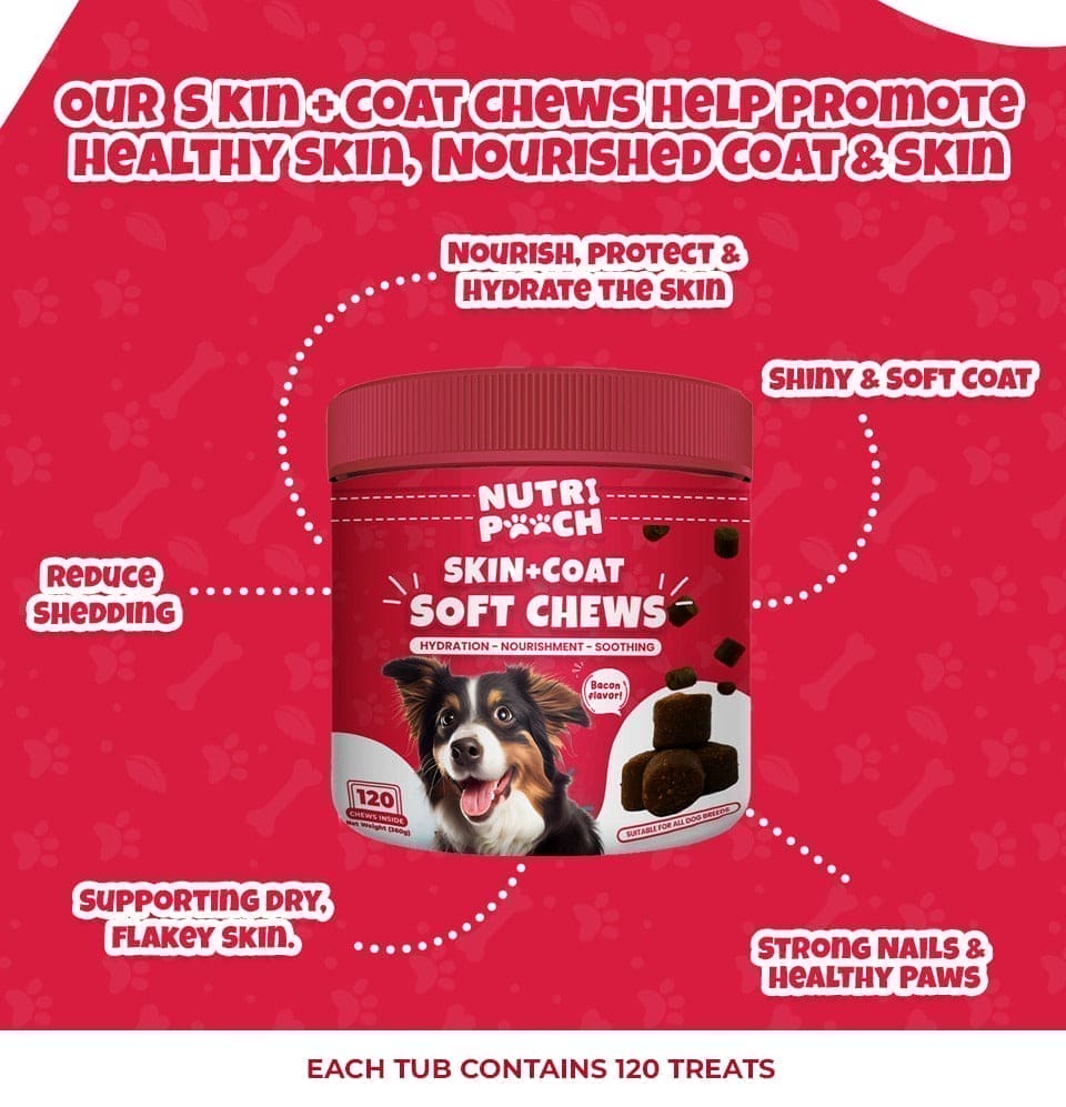 Skin + Coat Soft Chews -