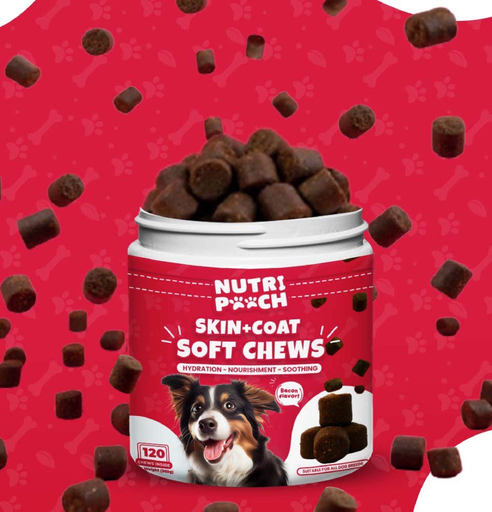 Skin + Coat Soft Chews -