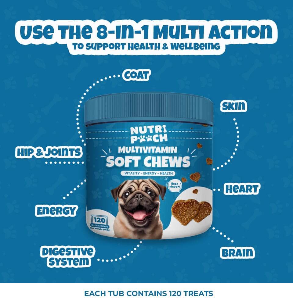 Multivitamin Soft Chews -