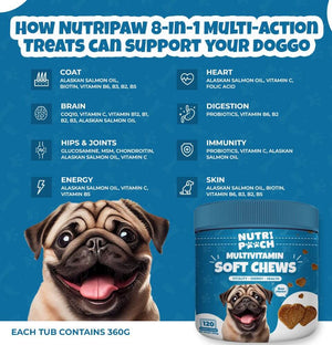 Multivitamin Soft Chews -