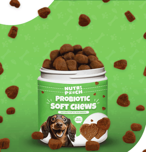 Probiotic Soft Chews -