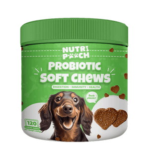 Probiotic Soft Chews -