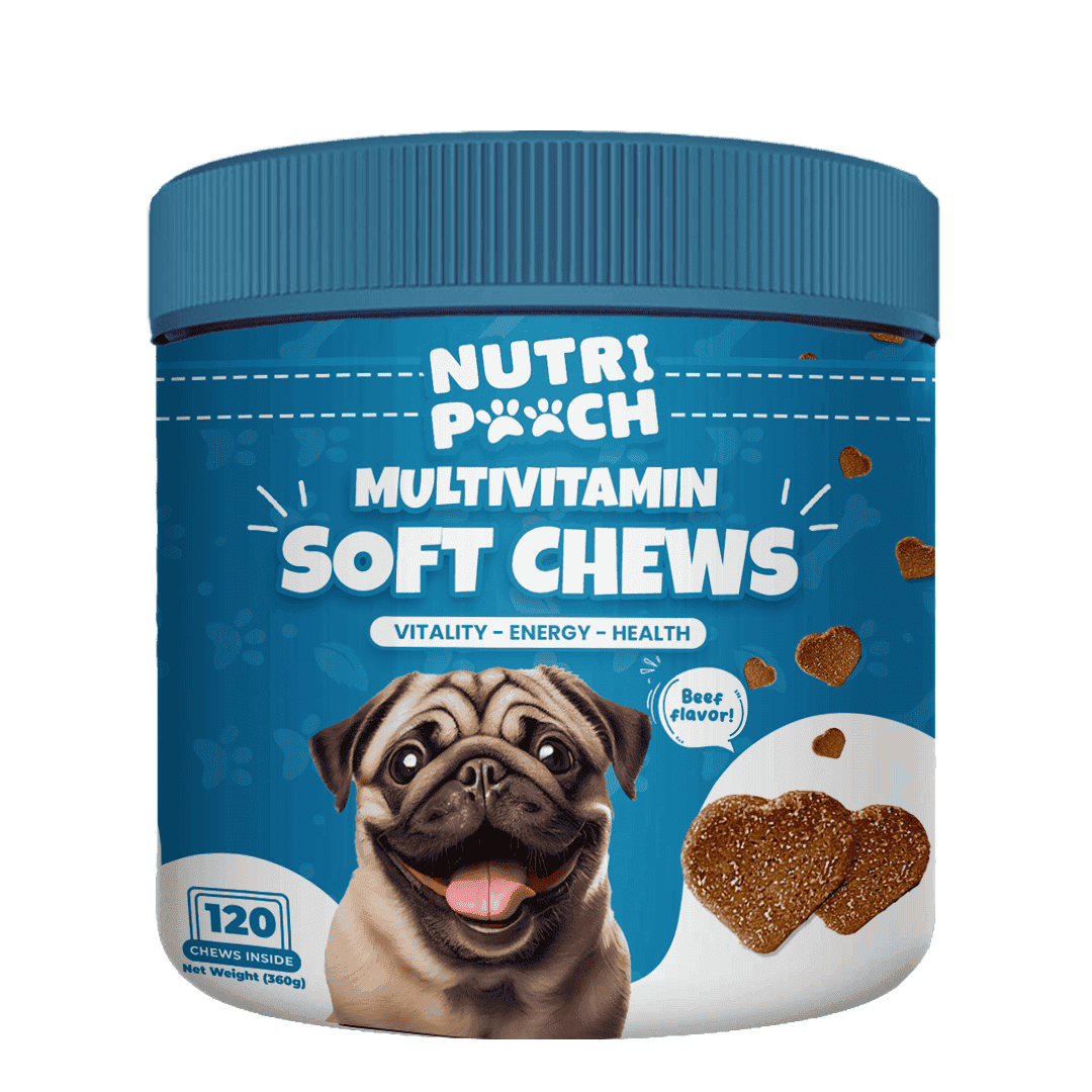 Multivitamin Soft Chews -