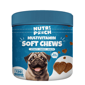 Multivitamin Soft Chews -