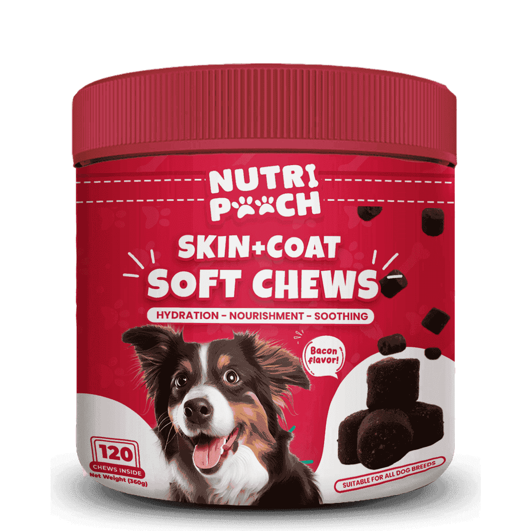 Skin + Coat Soft Chews -