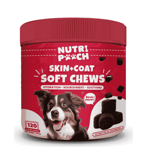 Skin + Coat Soft Chews -